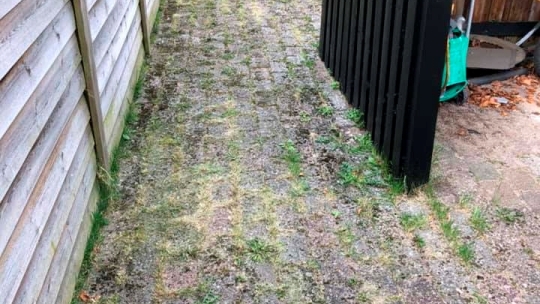 Algebehandling og ukrudtsfjerning