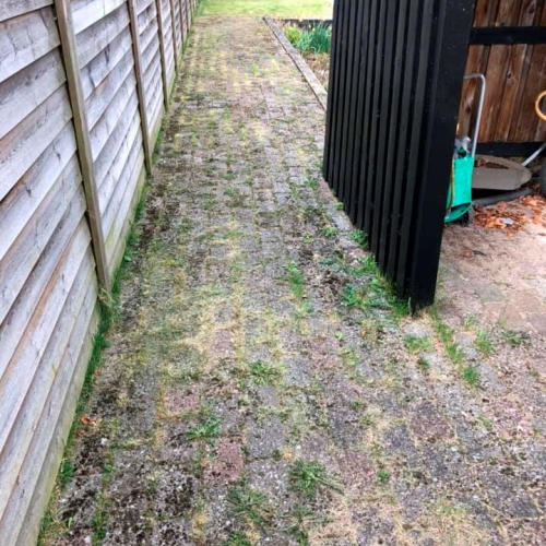 Algebehandling og ukrudtsfjerning