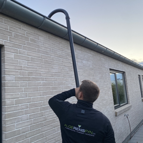 Tagrenderens på hus