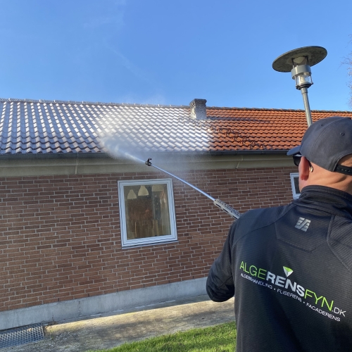 Algebehandling af rødt tag