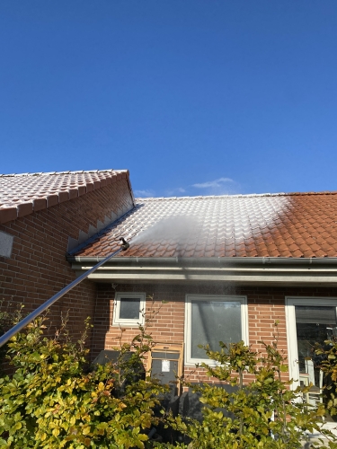 Algebehandling af tegltag