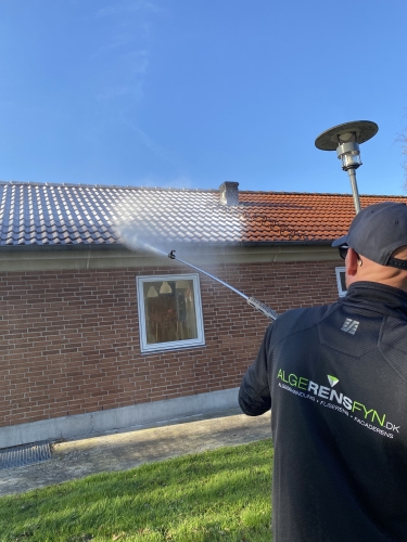 Algebehandling af rødt tag