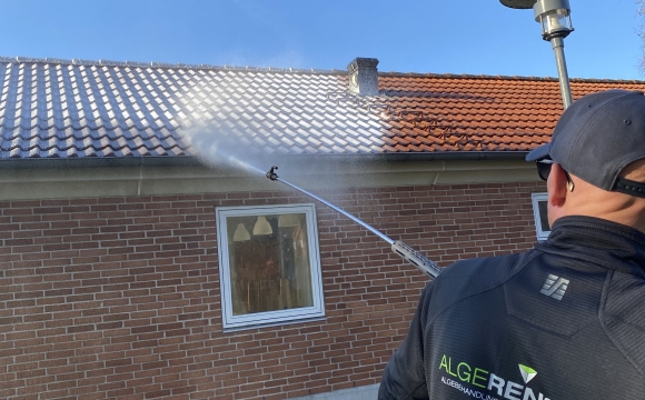 Algebehandling af rødt tag